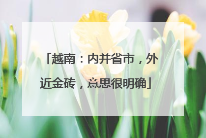 越南：内并省市，外近金砖，意思很明确